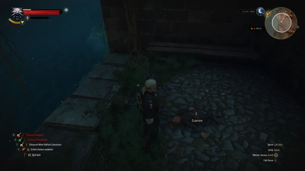 Easter egg de The witcher